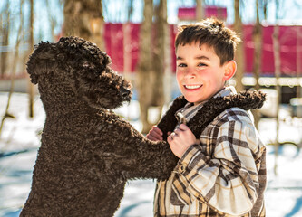 Cute boy playing with happy Goldendoodle on spring season - 777685714