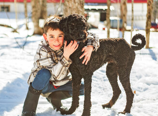Cute boy playing with happy Goldendoodle on spring season - 777685732
