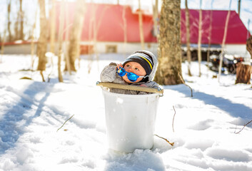 sugar shack, baby having fun at maple shack forest into bucket