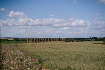 Valmiera, Latvia - Augist 13, 2023 - Rural landscape showing a wheat field with a line of old brick...