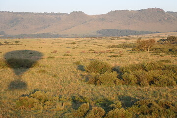 aerial view of savannah in Masai Mara national park