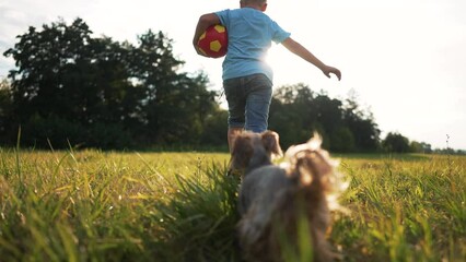 child runs with a ball and a dog. the baby runs along green grass and plays with a ball. the dog catches up with child in park. pet dog plays ball with baby. happy child and dog playing ball in park