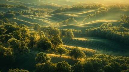 Rolling hills in autumn, golden hour lighting, top-down view, warm tones, crisp detail, peaceful ambiance. - obrazy, fototapety, plakaty