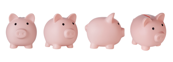 Set Piggy bank pig on isolated white background close up