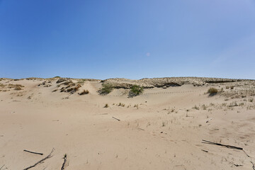 Lithuanian dunes sandy grass and clear sky