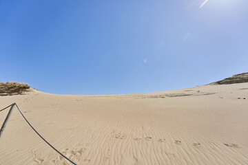 Lithuanian dunes sandy grass and clear sky