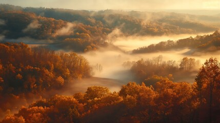 Autumn hills with fog rolling in, early morning, top-down view, soft light, rich orange hues, serene. - Powered by Adobe