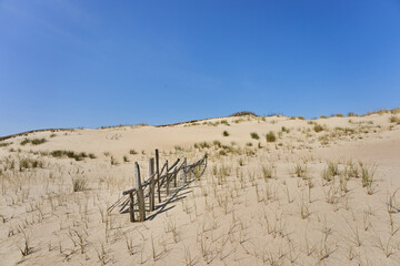 Lithuanian dunes sandy grass and clear sky