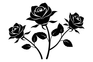 silhouette 'Rose fllowers' white background 