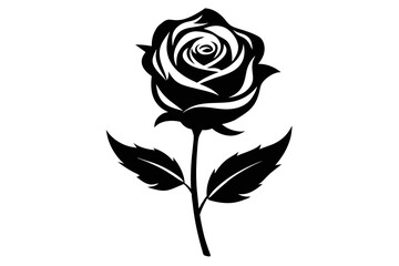 silhouette 'Rose fllowers' white background 