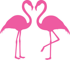 Flamingo Illustration 