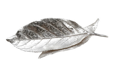 Contemporary Silver Leaf On Transparent Background.