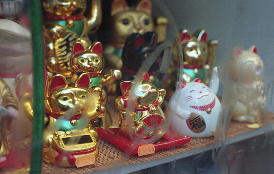 Maneki-neko Collection