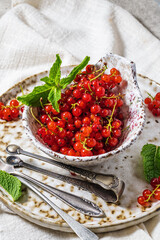 Red currant with mint in a bowl close-up - 777699782