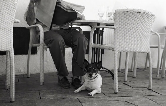 To walk the dog.