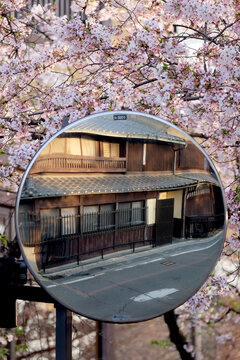 Convex mirror with cherry blossom on background