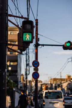 Pedestrian Traffic Light in Urban Setting