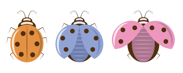 Three colorful ladybugs set with closed and open wings vector illustration