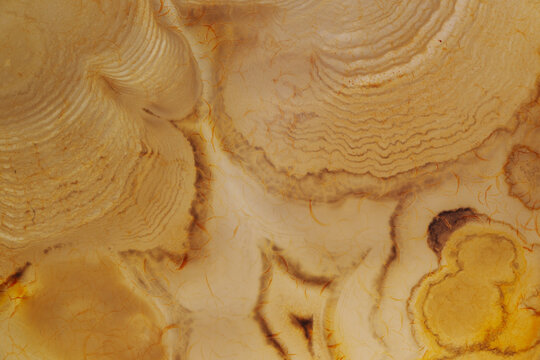 lace agate detail texture