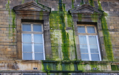 Old windows with green moss on the facade of an old building.