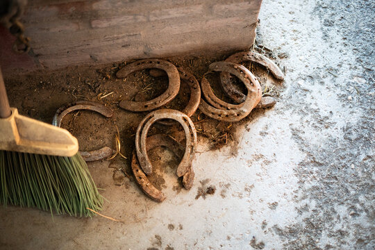 Discarded Horseshoes Corner