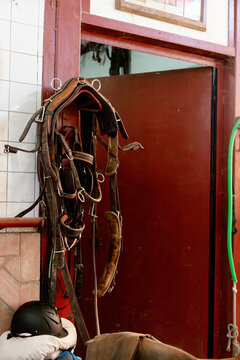 equestrian equipment for to ride