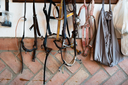 Equestrian Gear Wall