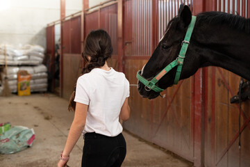 young girl with a horse  in equestrian therapy 