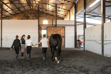 group of teenager with teacher in a therapy with horses