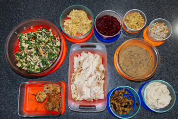 Leftover Holiday Dinner in Food Containers UGC
