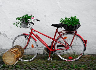 kwietnik na czerwonym rowerze, dekoracja ogrodowa vintage, flowerbed on a bicycle	 - obrazy, fototapety, plakaty