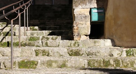 vieil escalier d'un village proven&ccedil;al