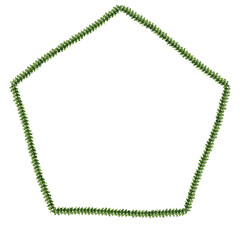 Isolated pentagon frame green leaf