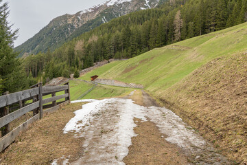 Hiking path between green grassy alpine slopes viewing towards pine trees and mountains in Gries, Längenfeld during early spring time. Last snow on the trail. Besinnungsweg trail in Gries, Längenfeld.