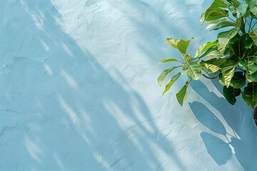 Indoor Plant and Shadow on Textured Blue Wall