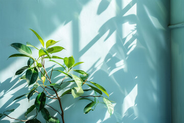 Houseplant with Dancing Shadows on Blue Wall