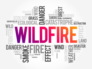 Wildfire is an unplanned fire that burns in a natural area such as a forest, word cloud concept background - obrazy, fototapety, plakaty