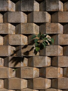 Abstract Geometric Bricks Pattern on an Urban Wall with Green Plant