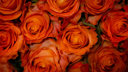 Close-up image of a lush bouquet of orange roses, symbolizing romance, love, and elegance, perfect for special occasions.