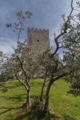 Acropoli di Civitavecchia di Arpino - Frosinone - Lazio - Italia - obrazy, fototapety, plakaty