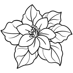 black and white flower