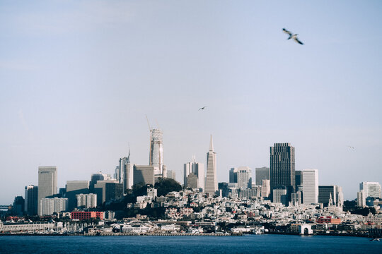 Skyline of waterfront of downtown San Francisco.