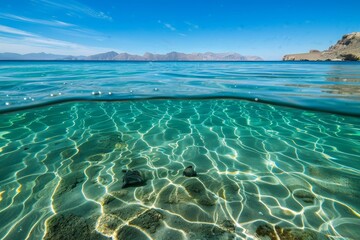 Clear waters of the sea combined with marine life, fish and other microscopic organisms.