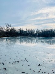 iced pond in the park, early spring