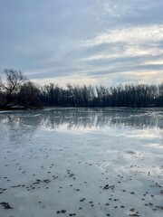 Fototapeta premium iced pond in the park, early spring