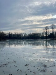 iced pond in the park, early spring