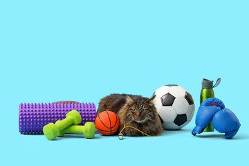 Cute cat with different sports equipment on color background - obrazy, fototapety, plakaty