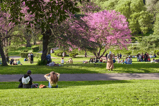 Spring view of Fontana Rotonda within the gardens of Villa Borghese in Rome, Italy
