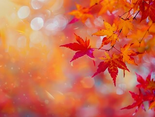 Fototapeta premium autumn leaves background
