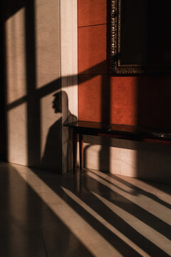 Long Shadows
